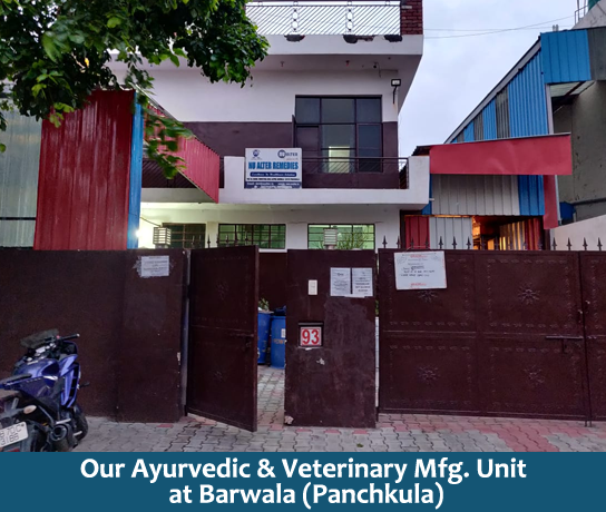 Third party Ayurvedic Manufacturer in Baddi